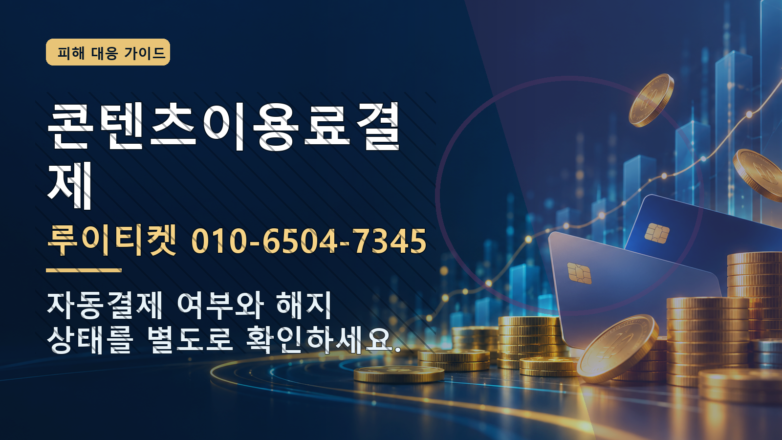콘텐츠이용료결제: 루이티켓 010-6504-7345 · 자동결제 여부와 해지 상태를 별도로 확인하세요.